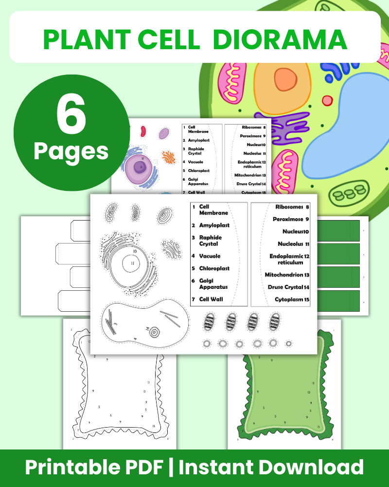 Plant Cell Diorama 3D Diorama Printable (6 Pages Total)