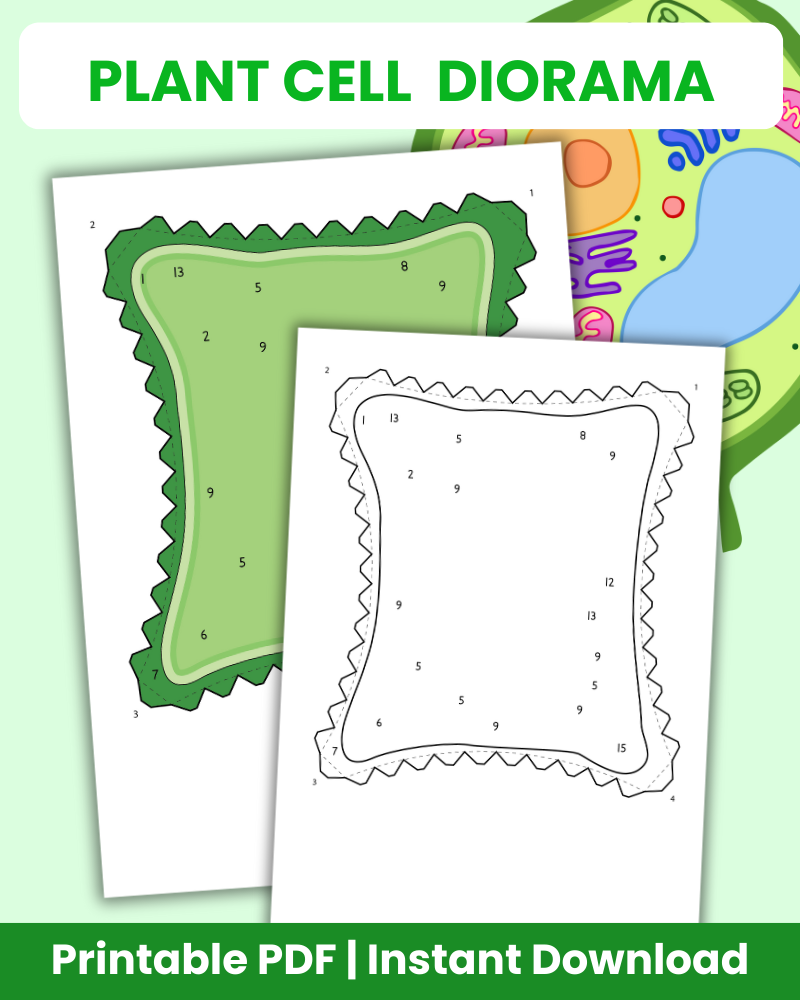 Plant Cell Diorama 3D Diorama Printable (6 Pages Total)