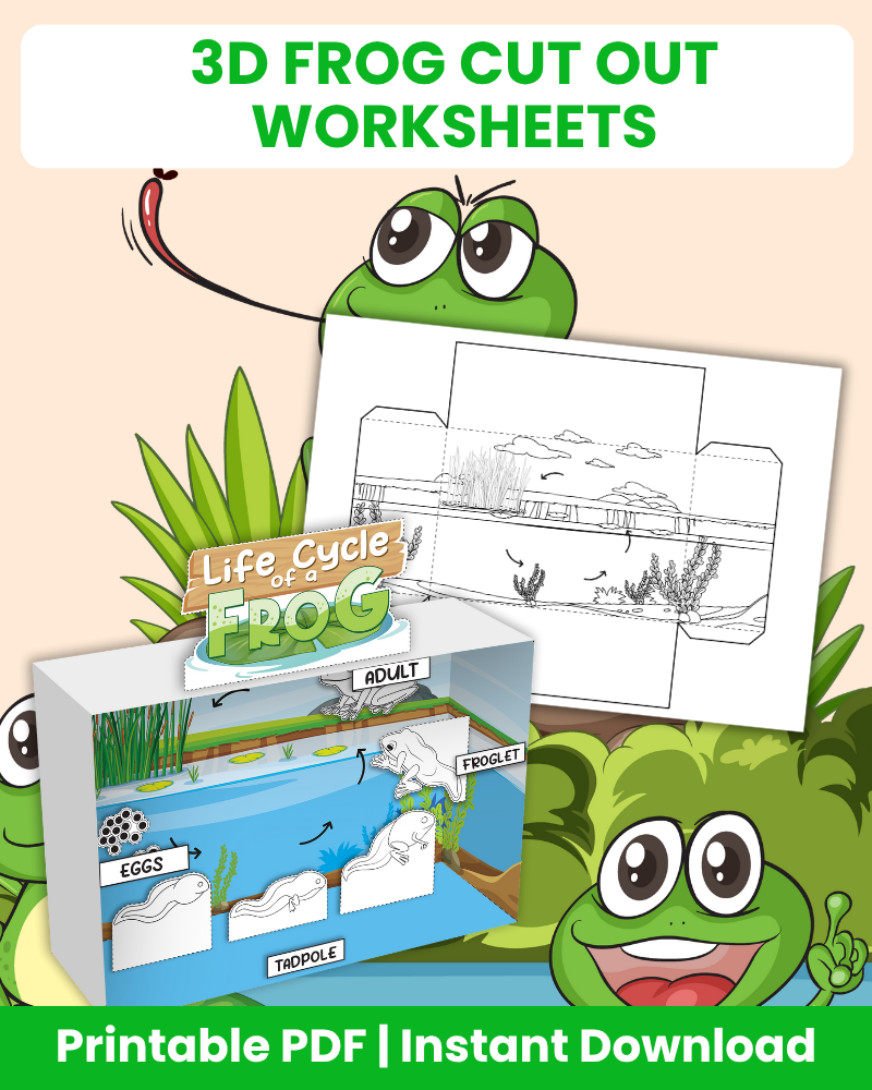 life cycle of a frog printable