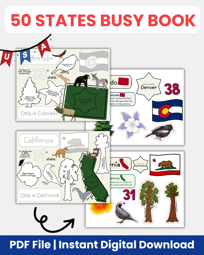 50 states busy book