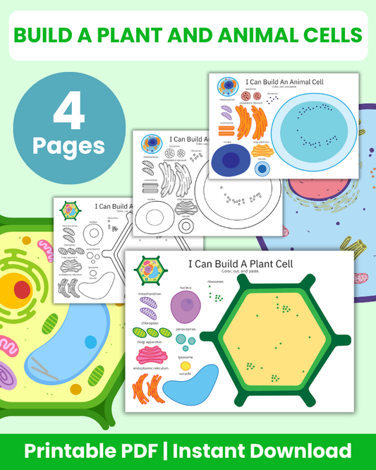 Build a Plant and Animal Cells Printable