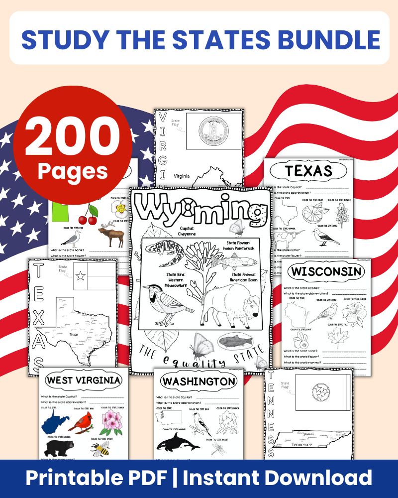 Study the States Printable bundle