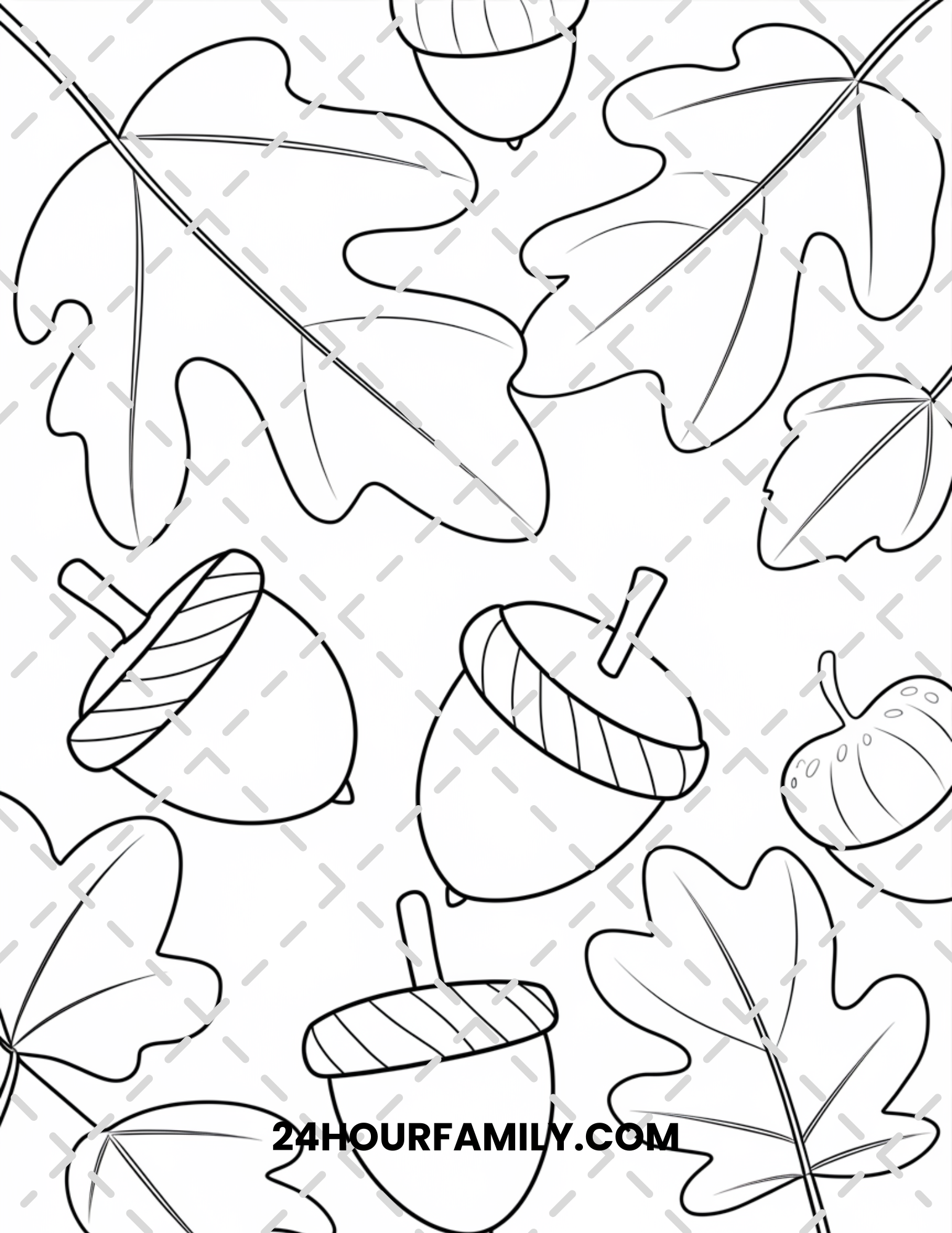 acorn coloring pages