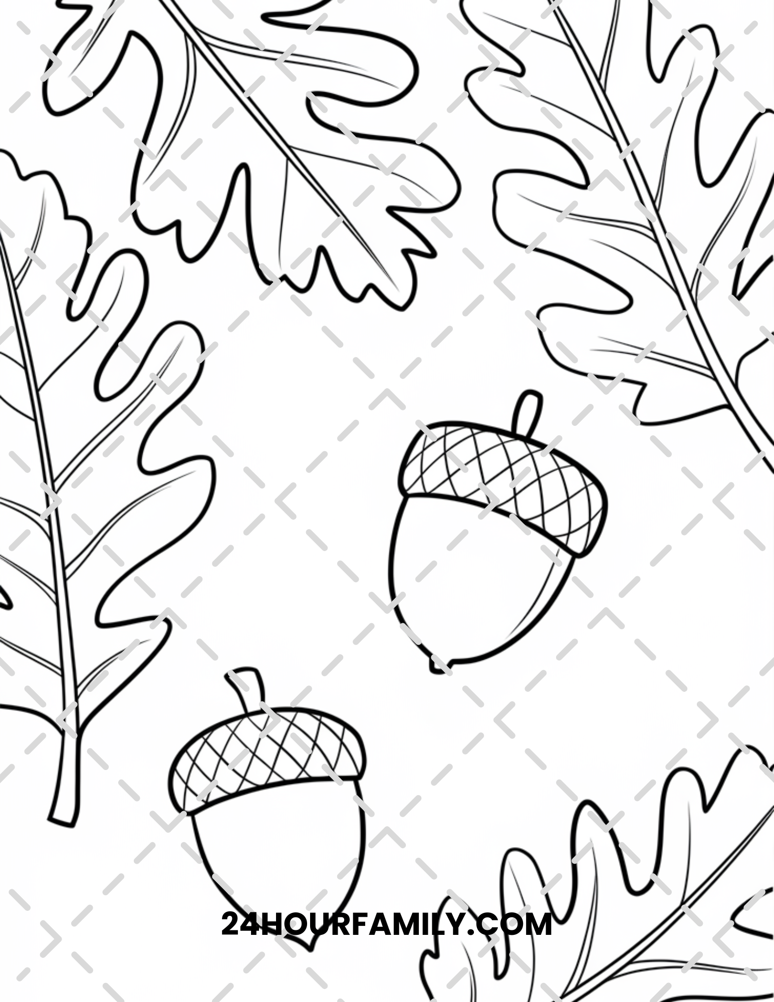 acorn coloring pages