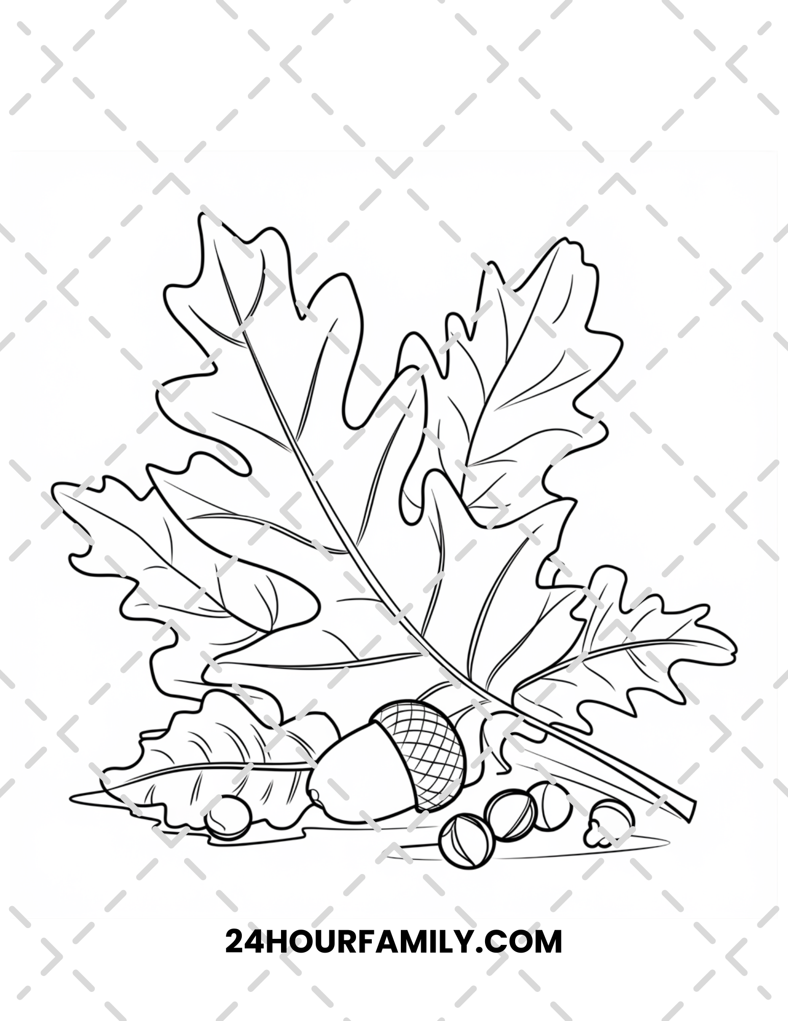 acorn coloring pages