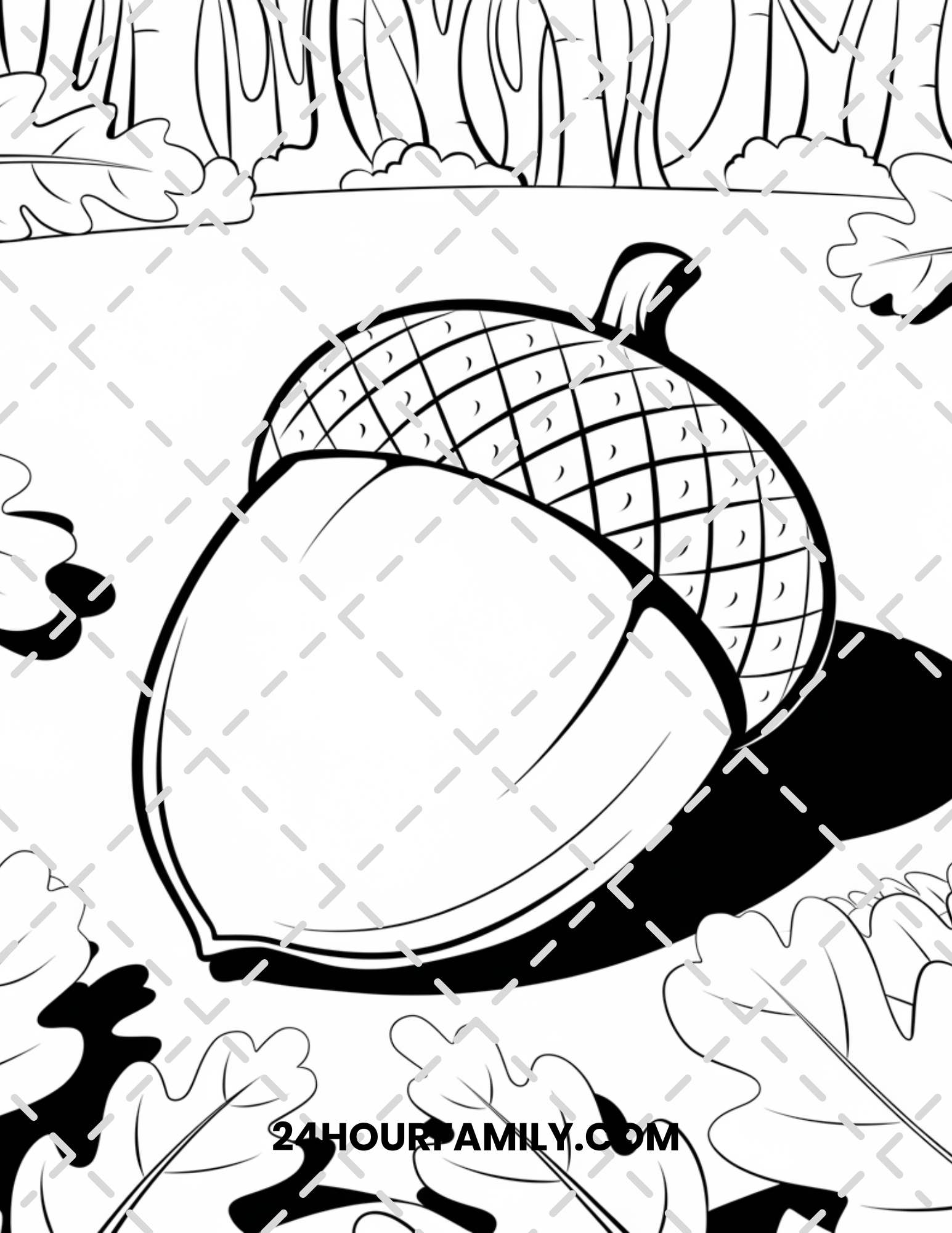 acorn coloring pages
