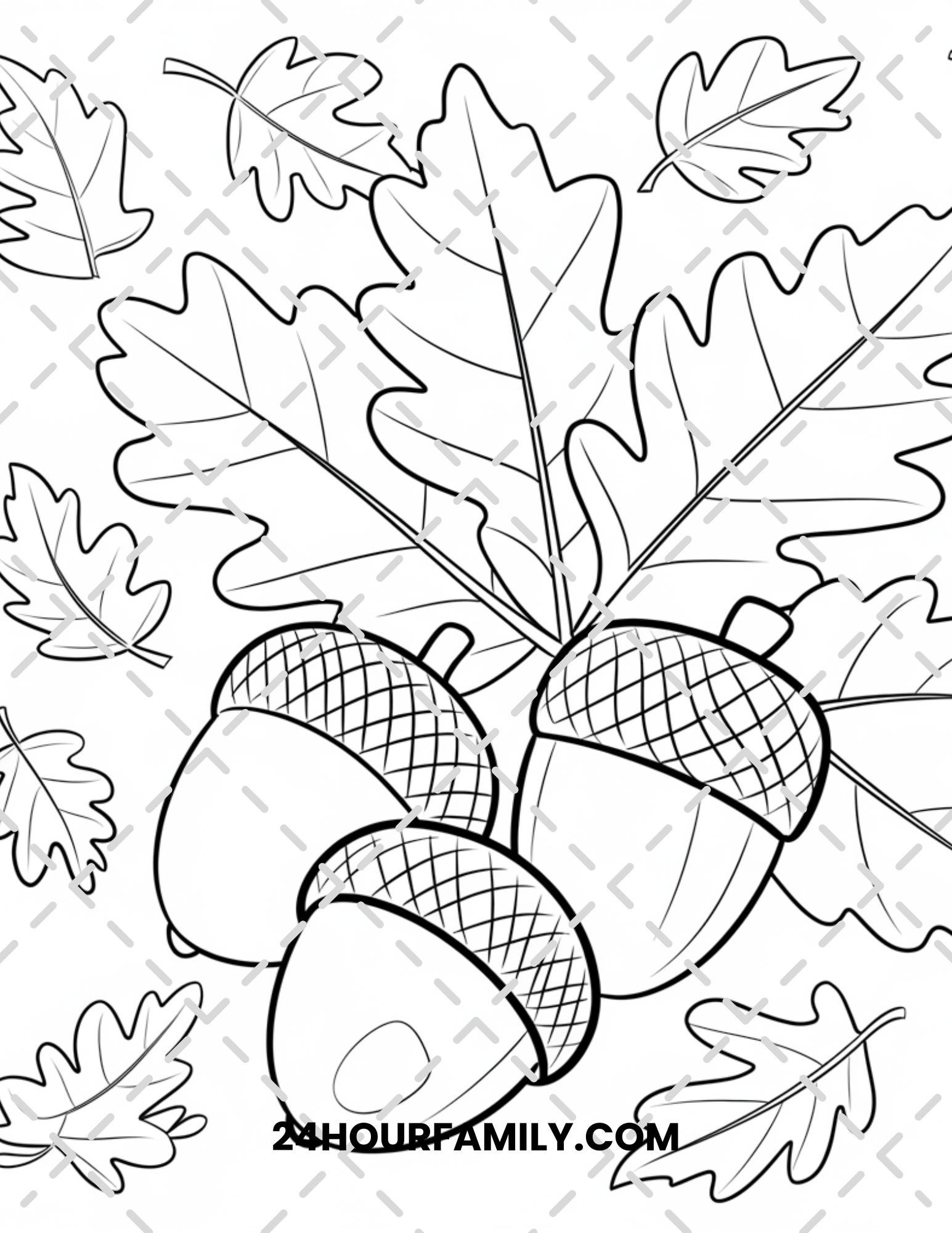 acorn coloring pages