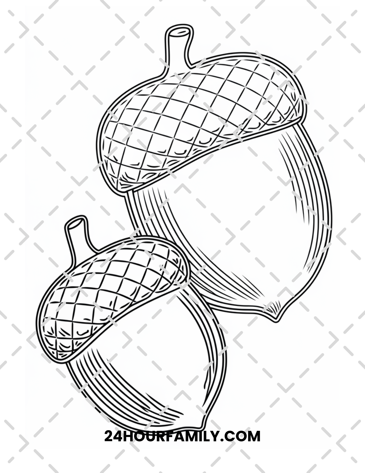 acorn coloring pages