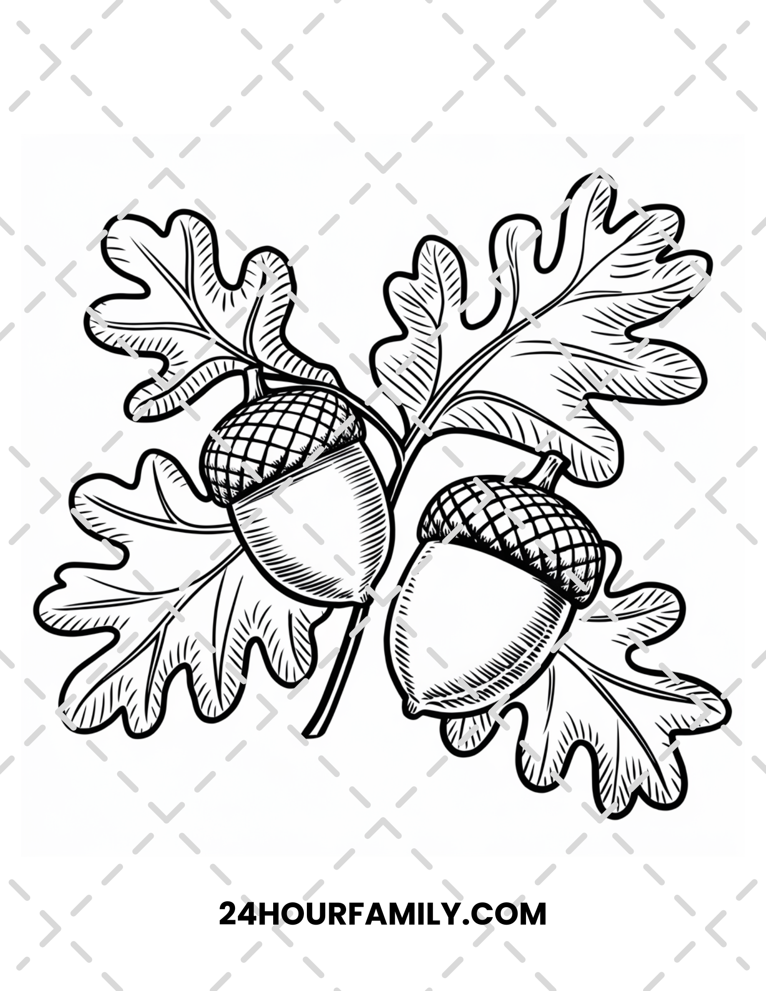 acorn coloring pages