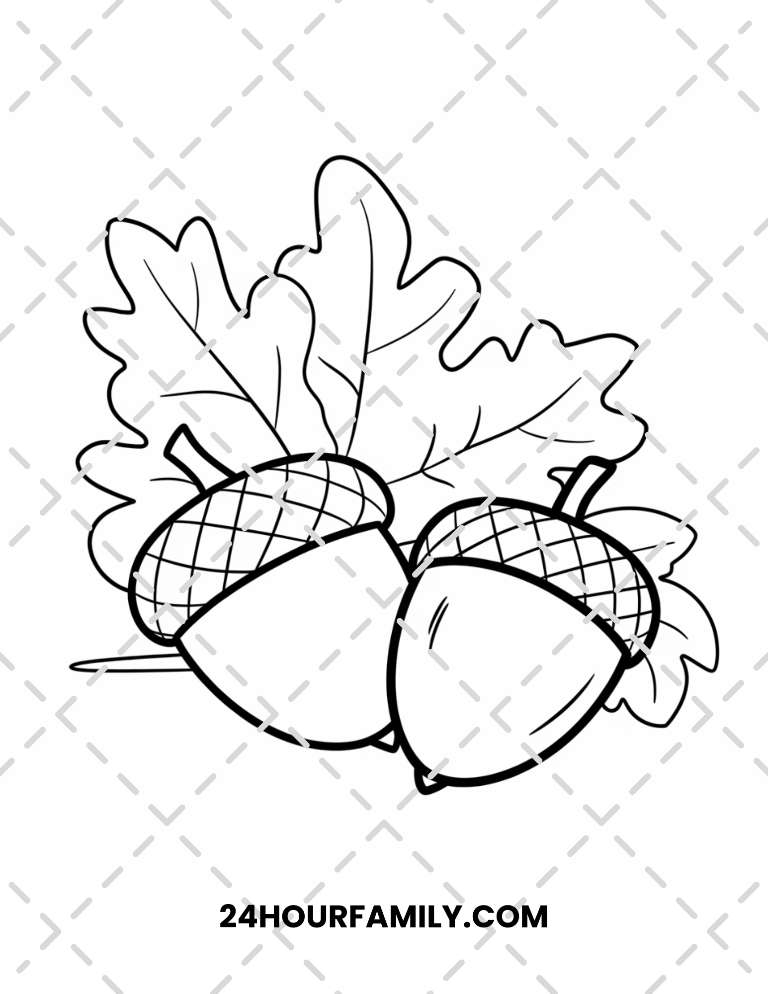 acorn coloring pages