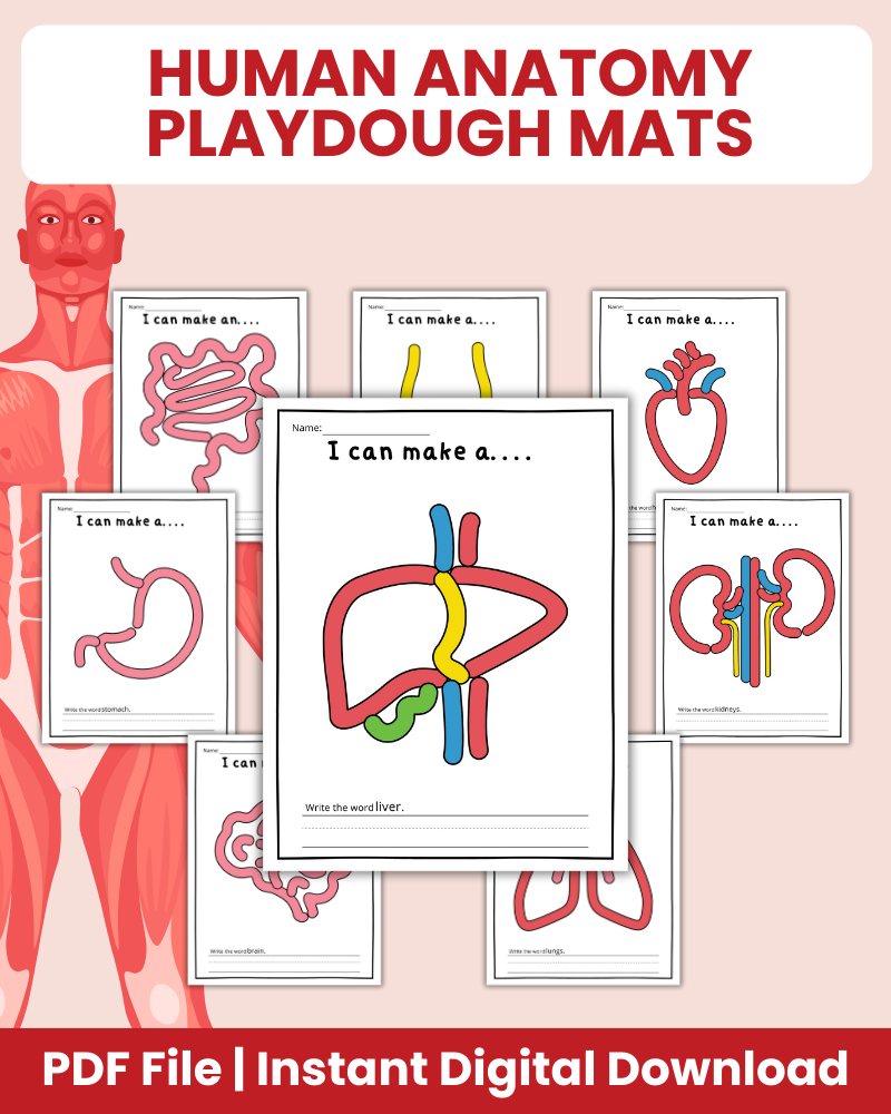 Human Anatomy Playdough Mats Printable