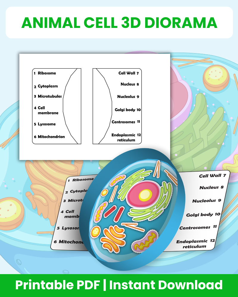 animal cell 3d diorama printable