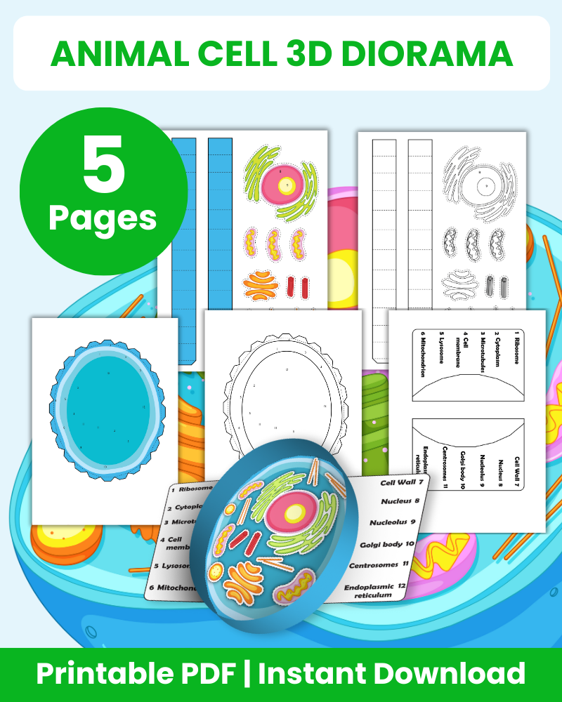 animal cell 3d diorama printable