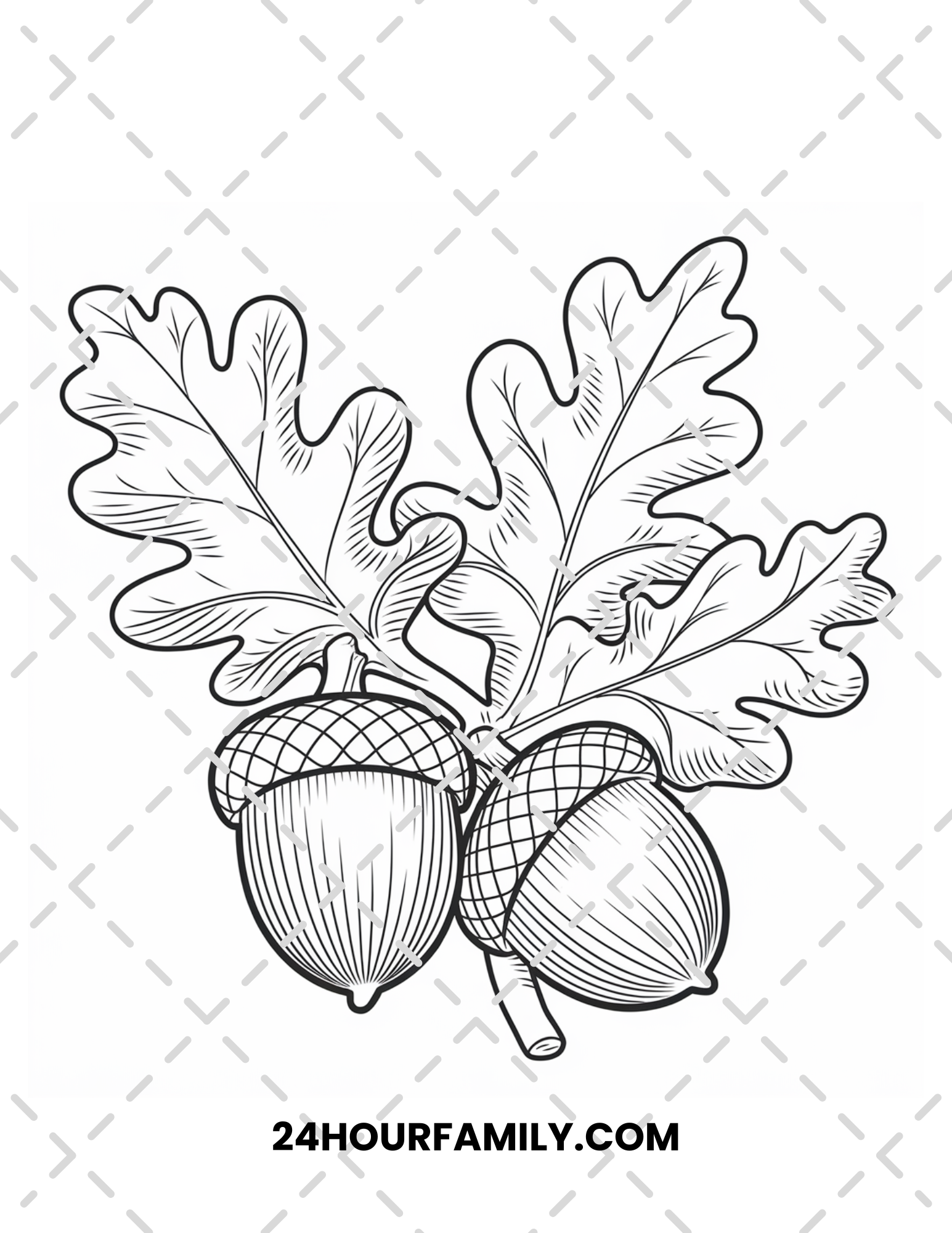 acorn coloring pages