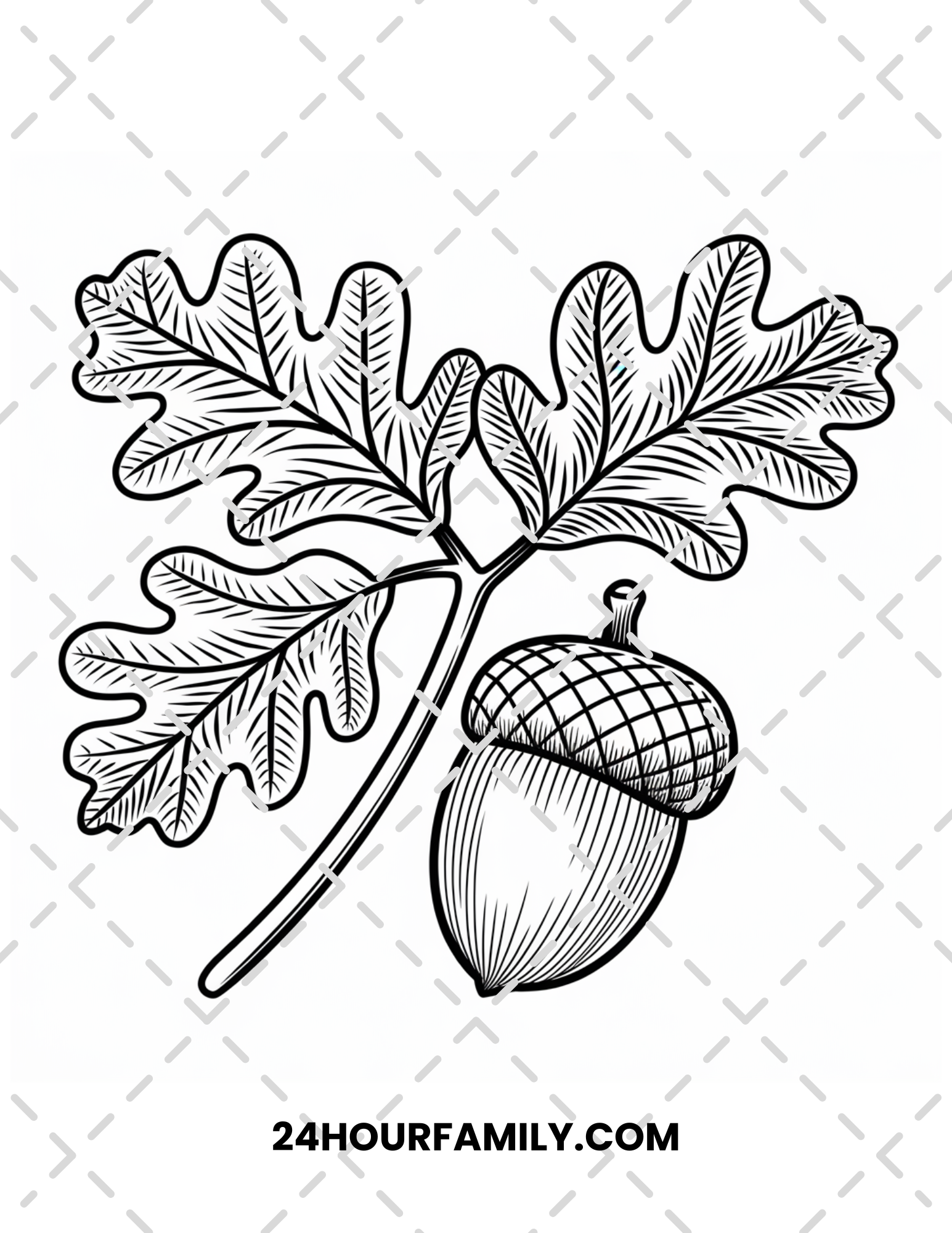 acorn coloring pages