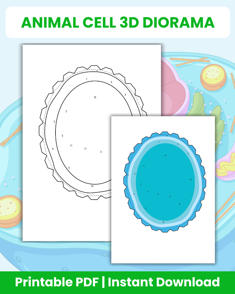 animal cell 3d diorama printable