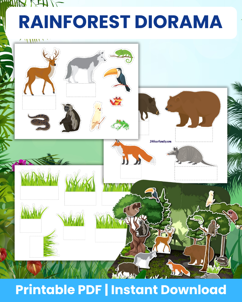 rainforest diorama printable