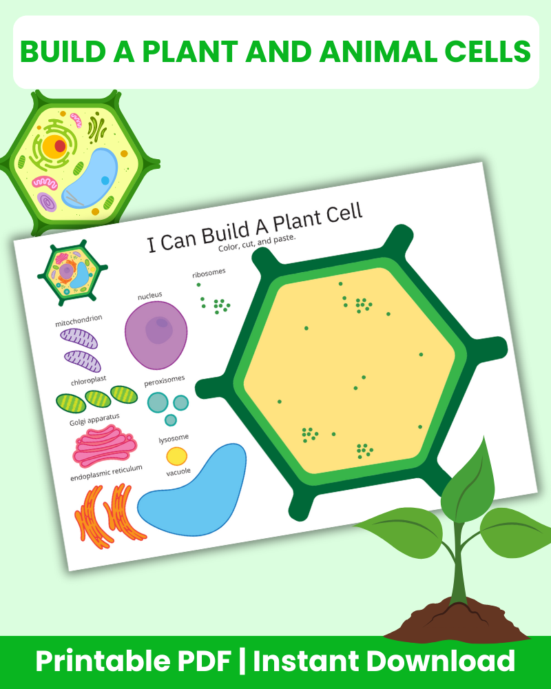 Build a Plant and Animal Cells Printable