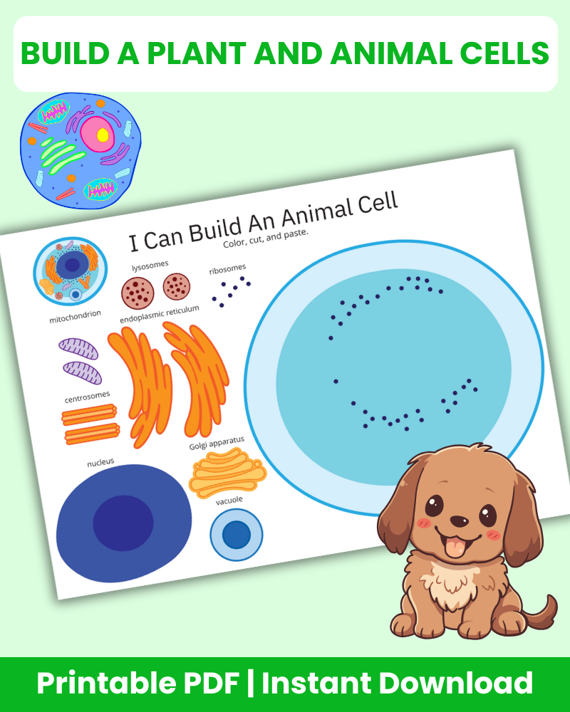 Build a Plant and Animal Cells Printable