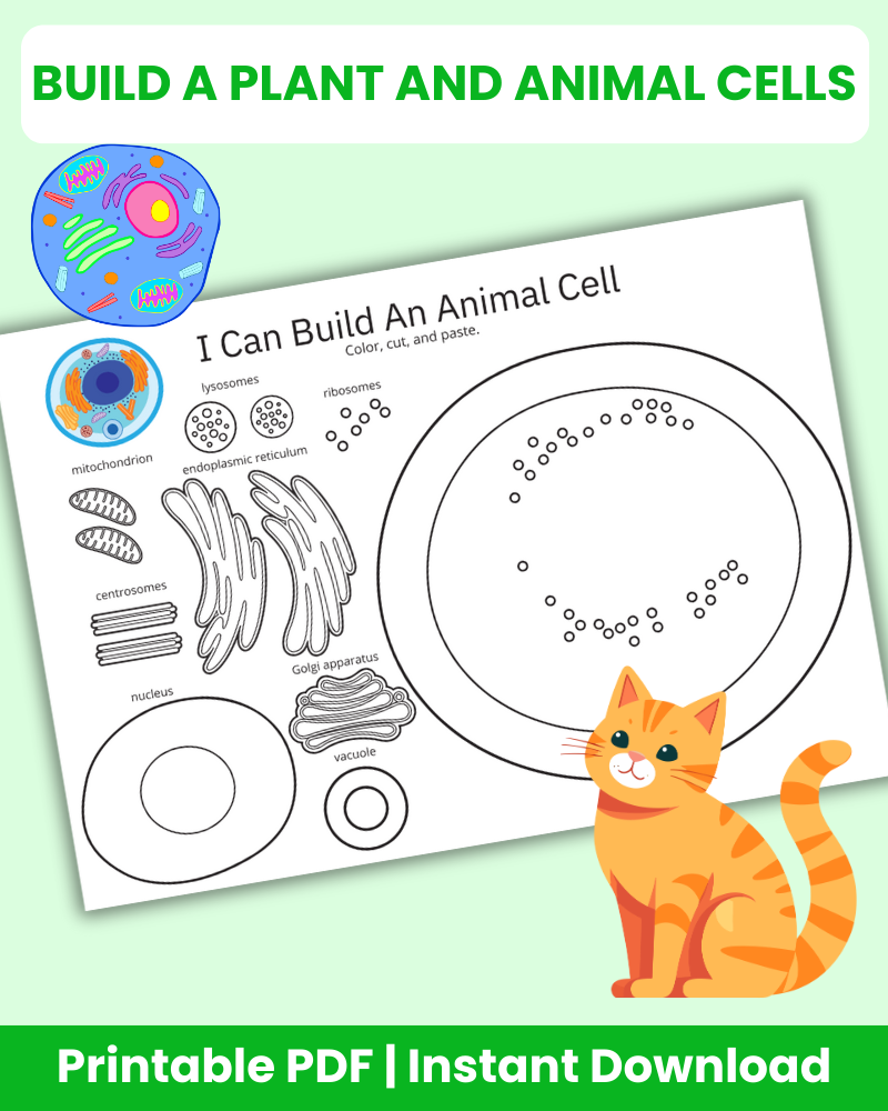 Build a Plant and Animal Cells Printable