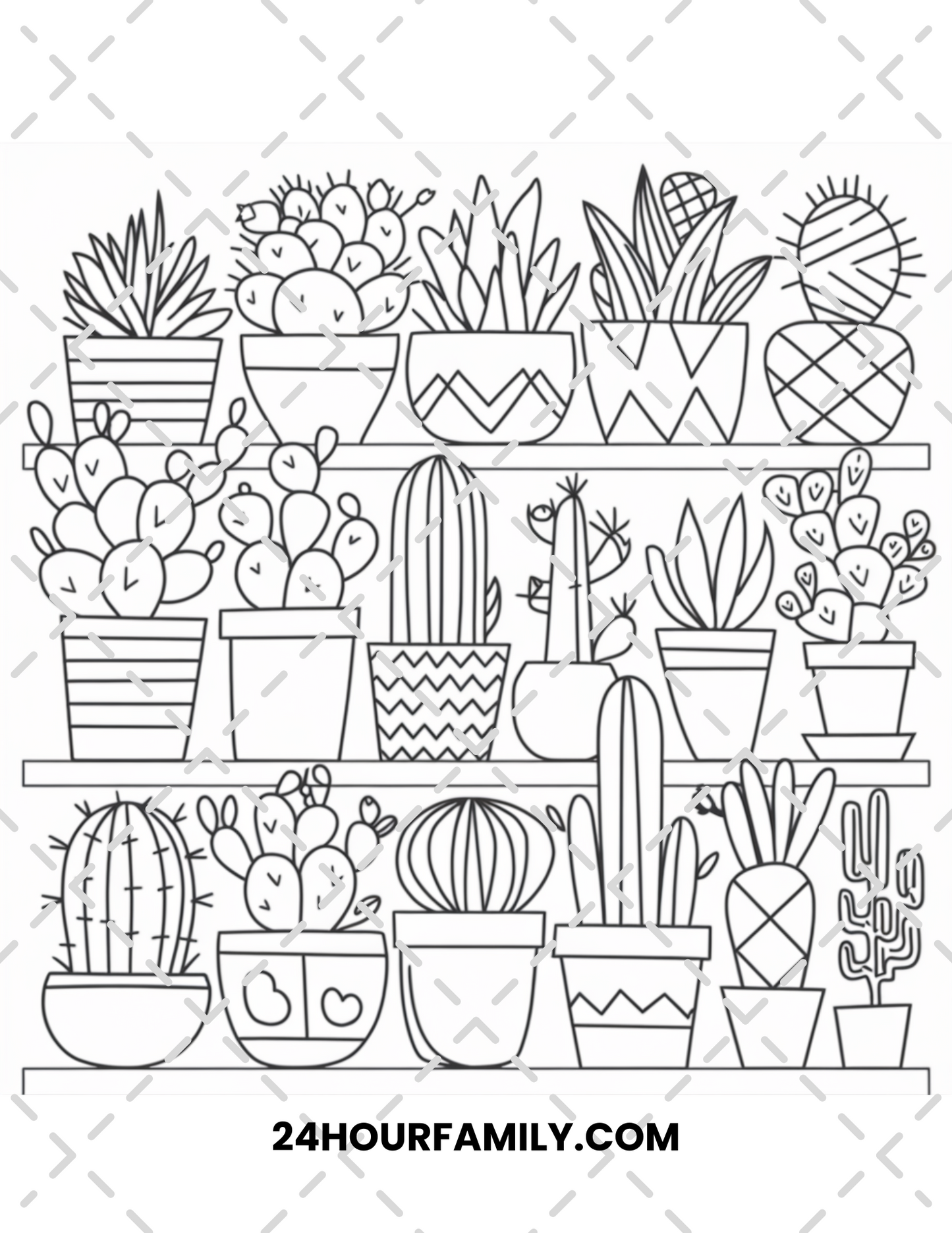 succulent coloring pages