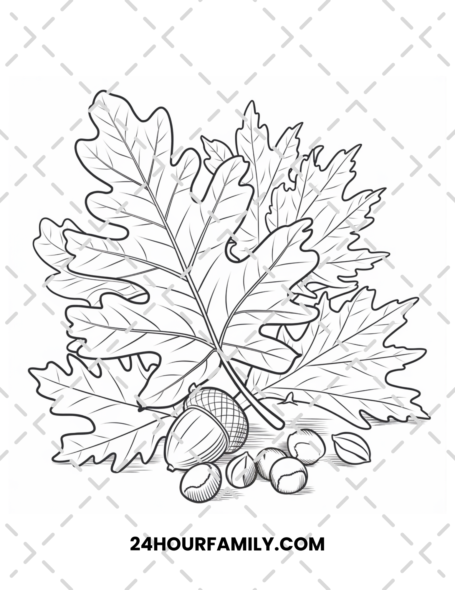 acorn coloring pages