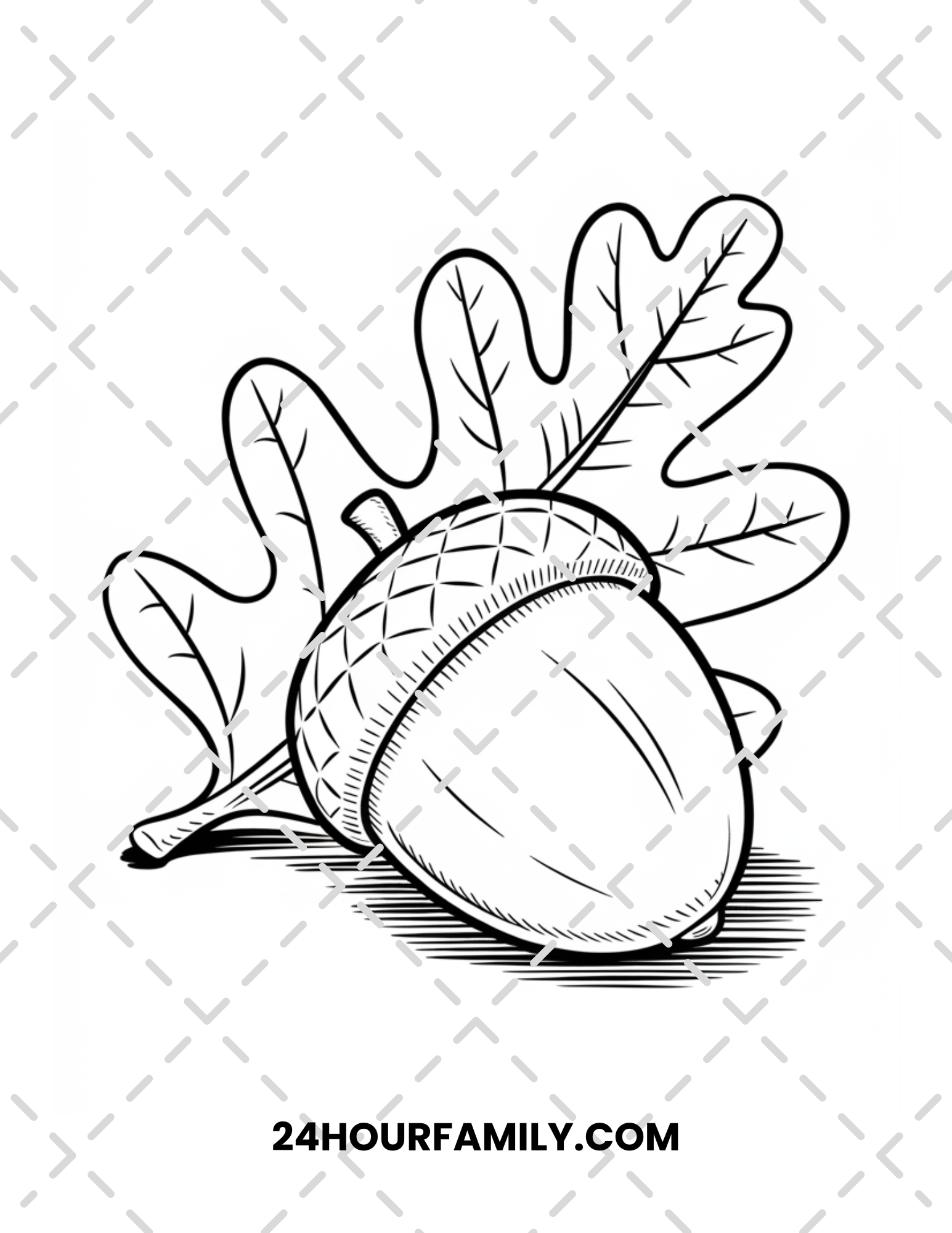 acorn coloring pages