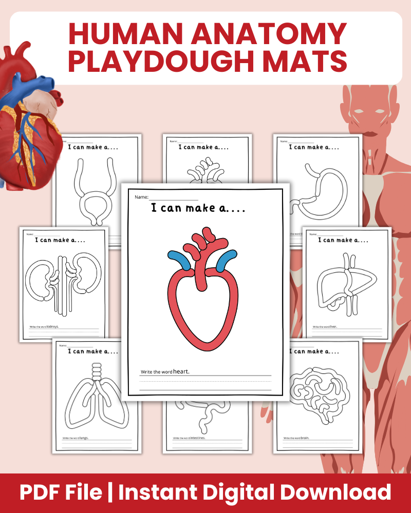 Human Anatomy Playdough Mats Printable