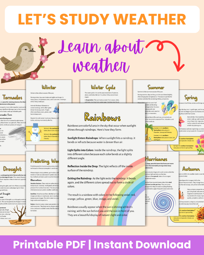 let's study weather printable 96 pages