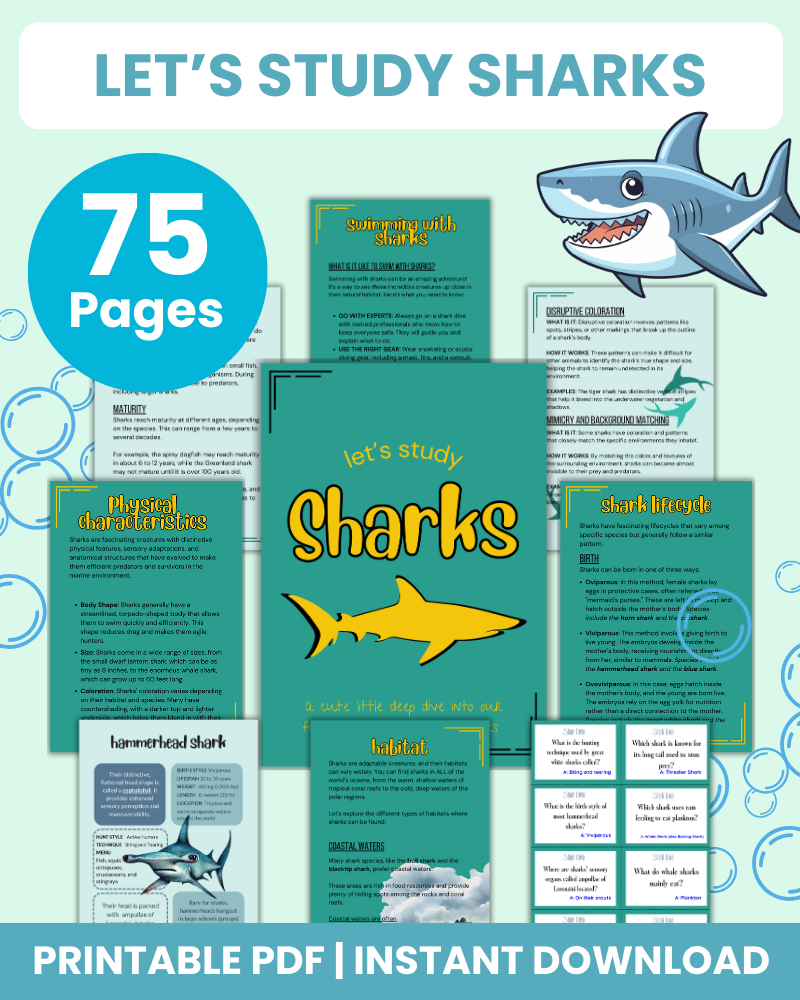 let's study sharks printable 75 pages