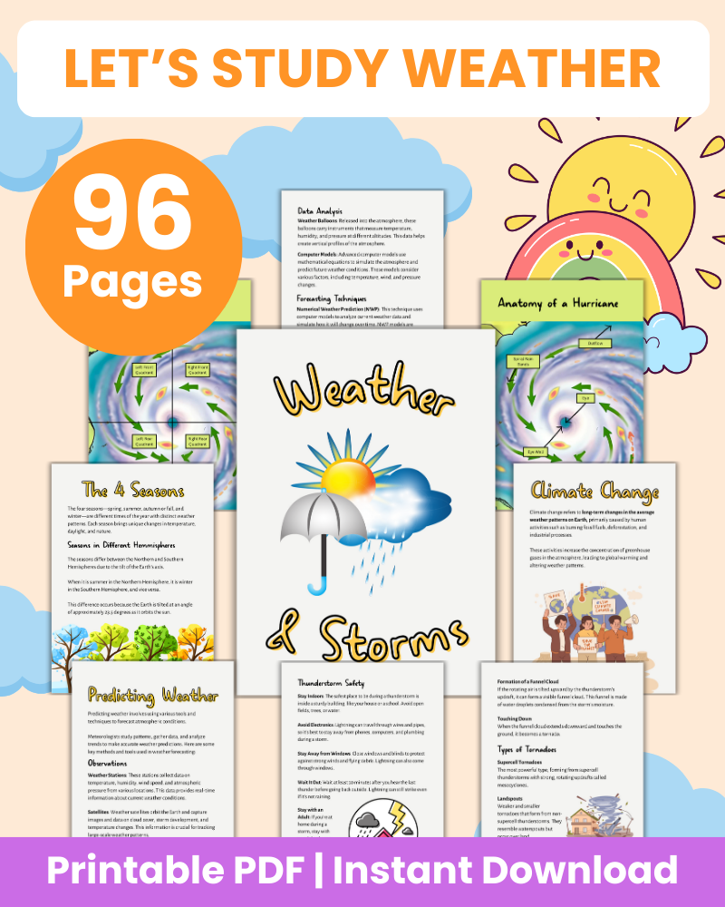 let's study weather printable 96 pages
