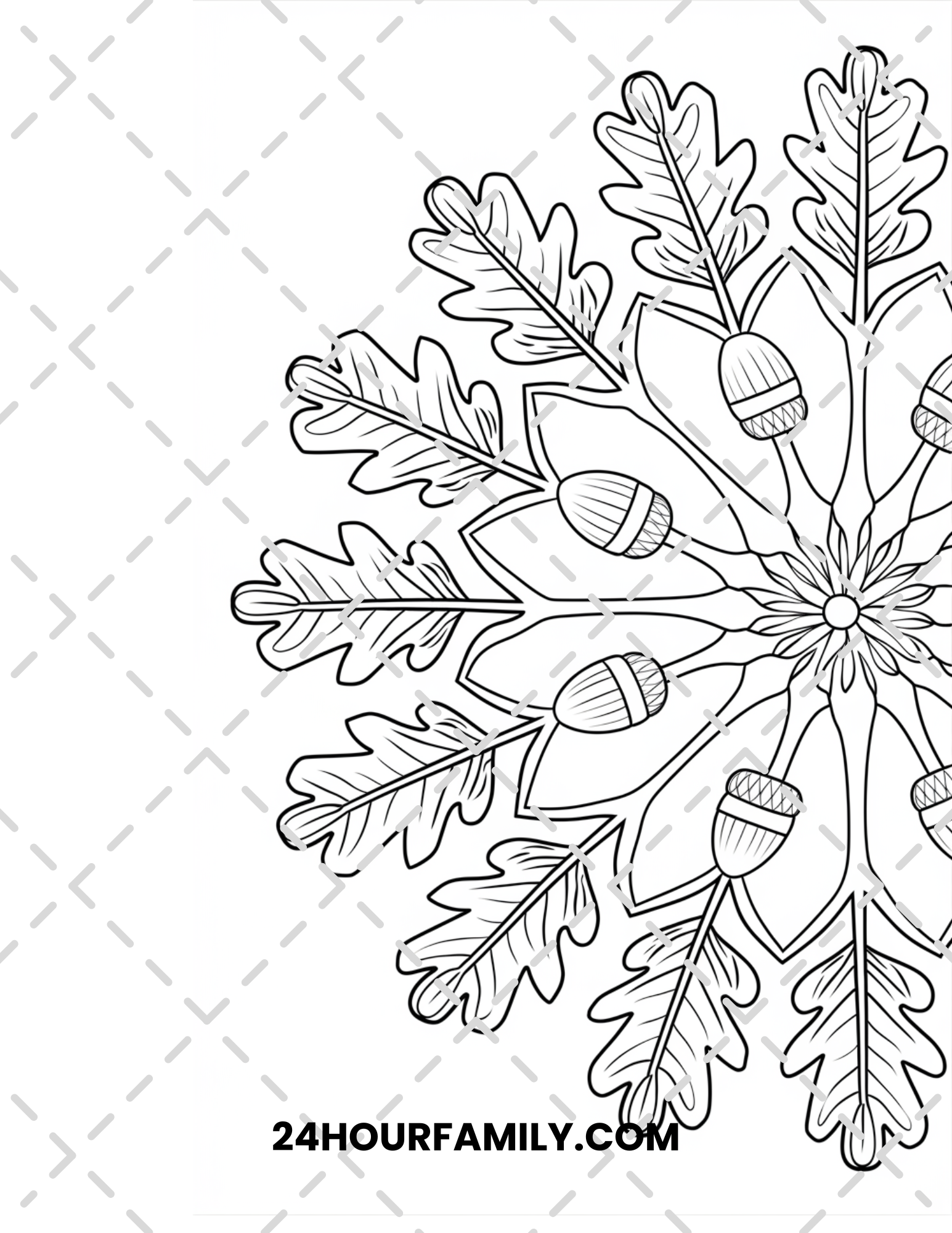 acorn coloring pages