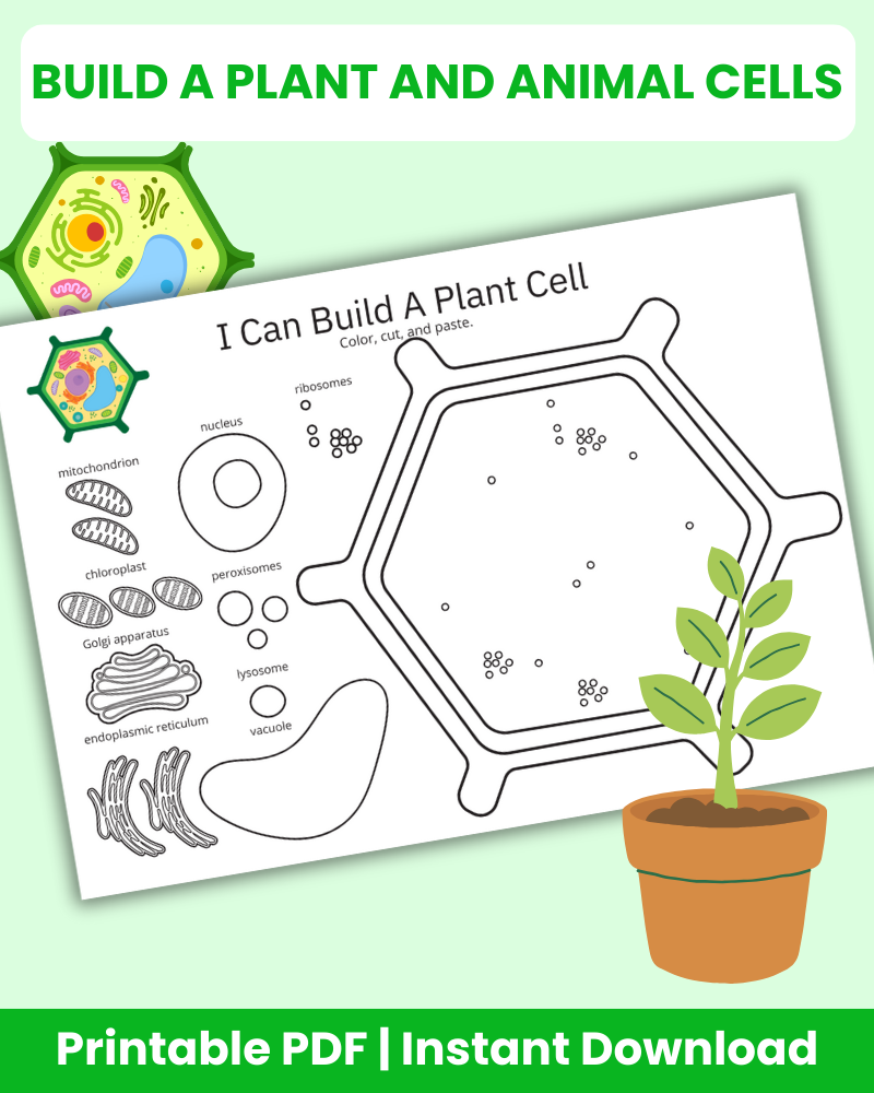 Build a Plant and Animal Cells Printable