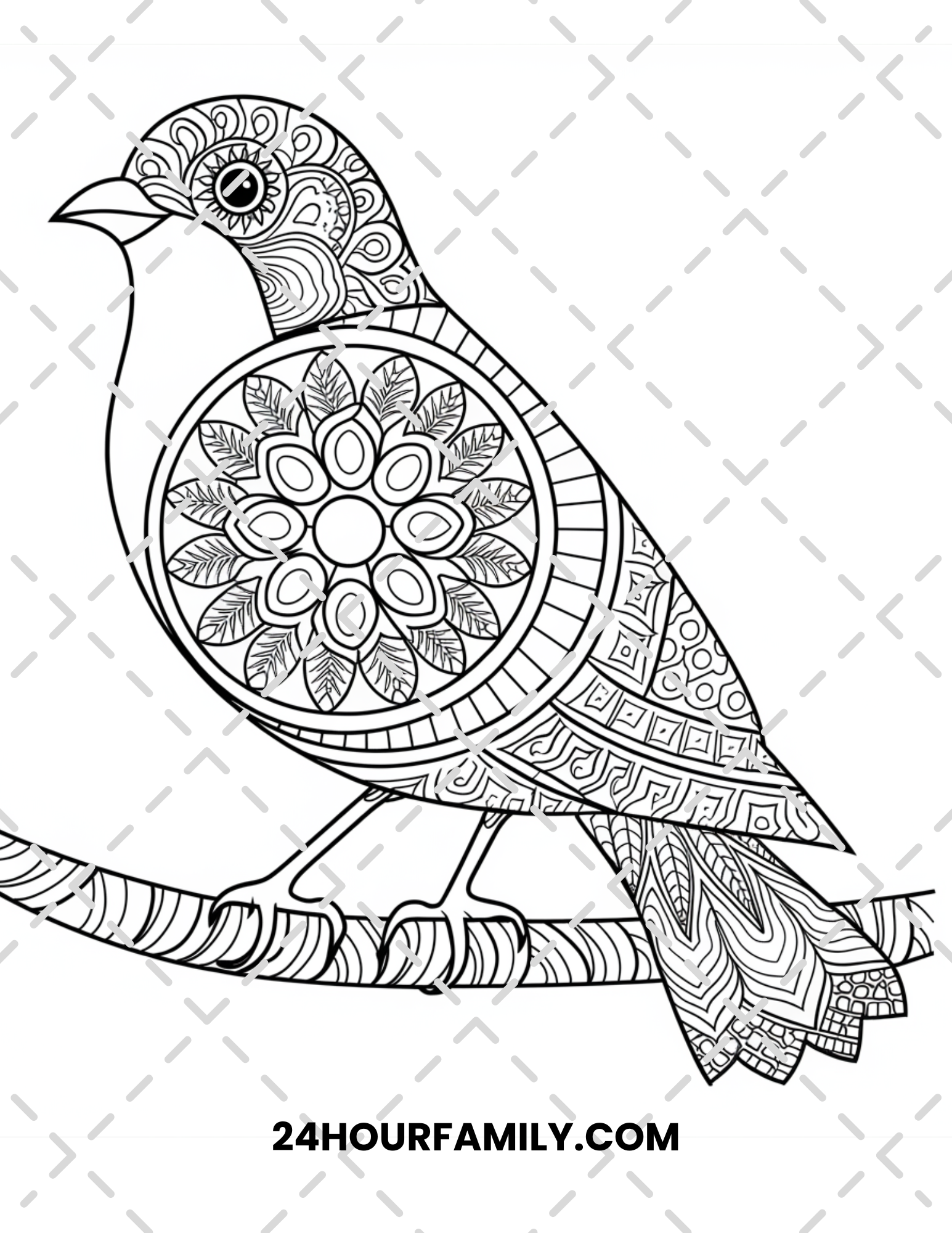 birds coloring pages for adults