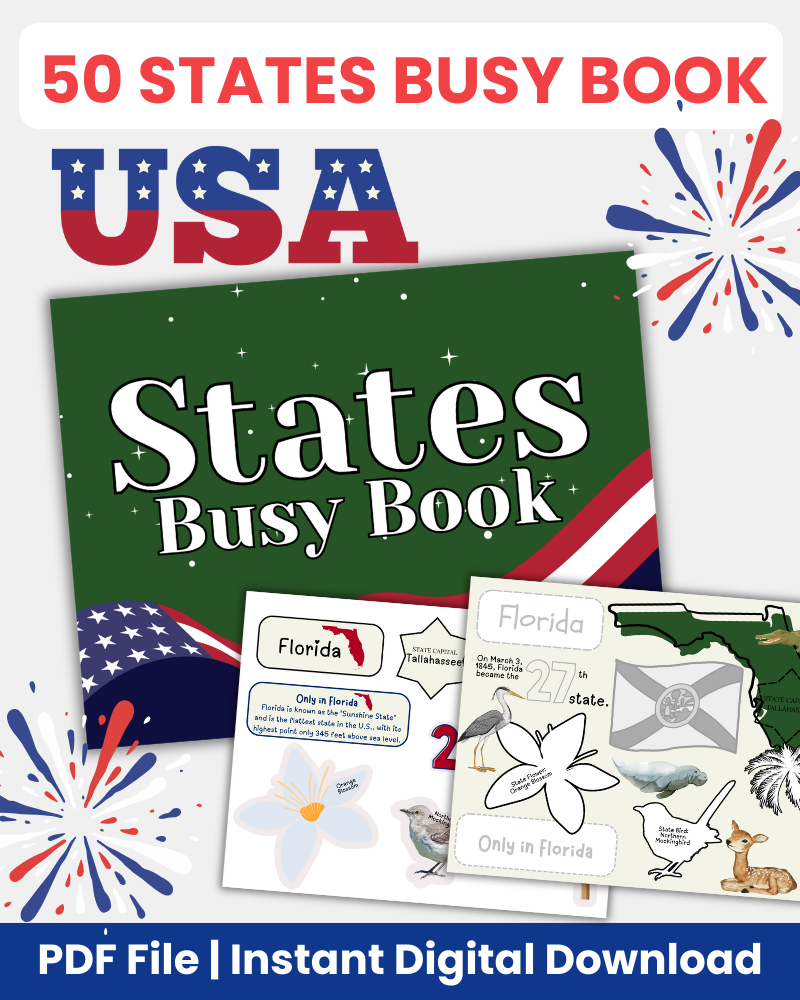 50 states busy book