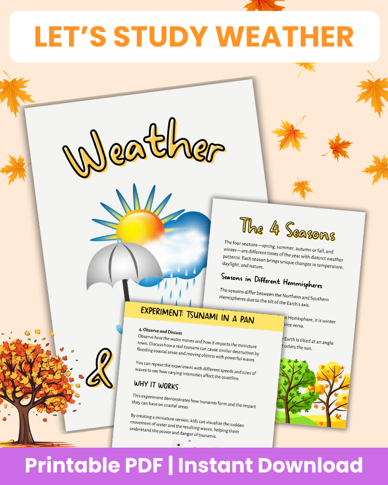 let's study weather printable 96 pages