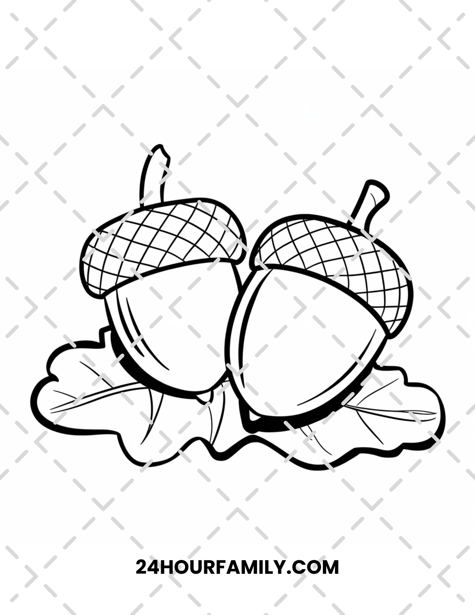 acorn coloring pages