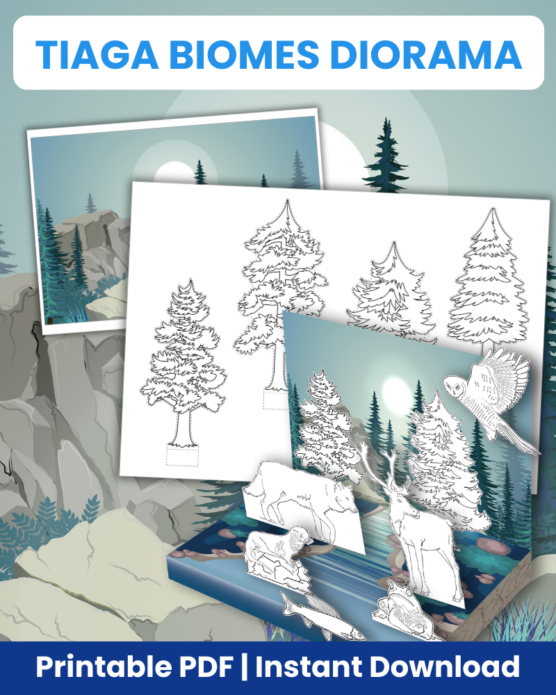 tiaga biomes diorama