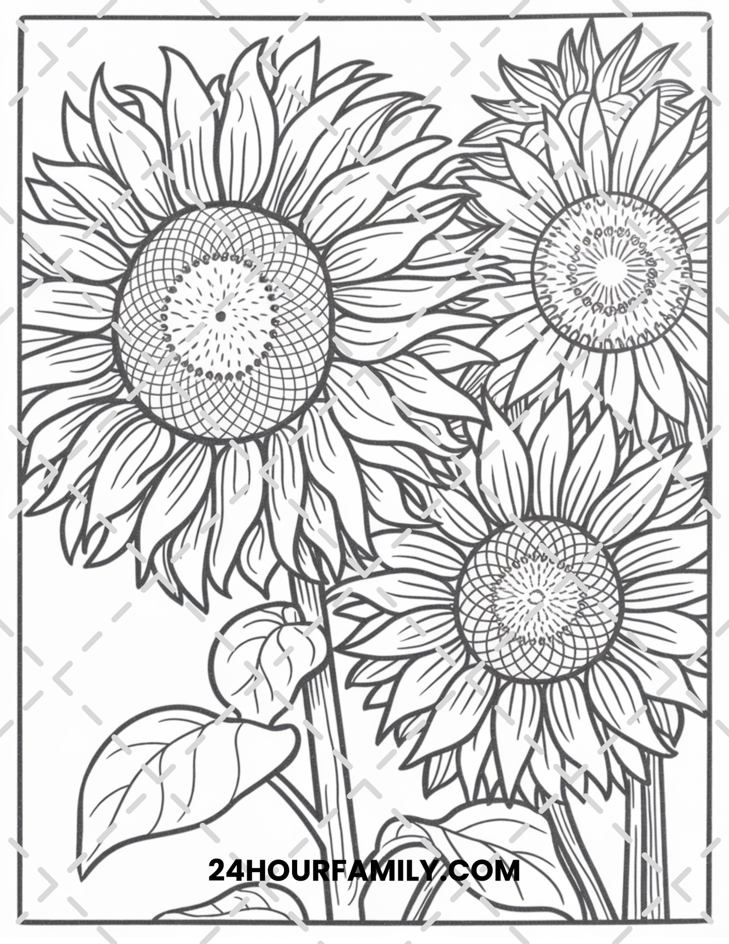 sunflower coloring pages for adult
