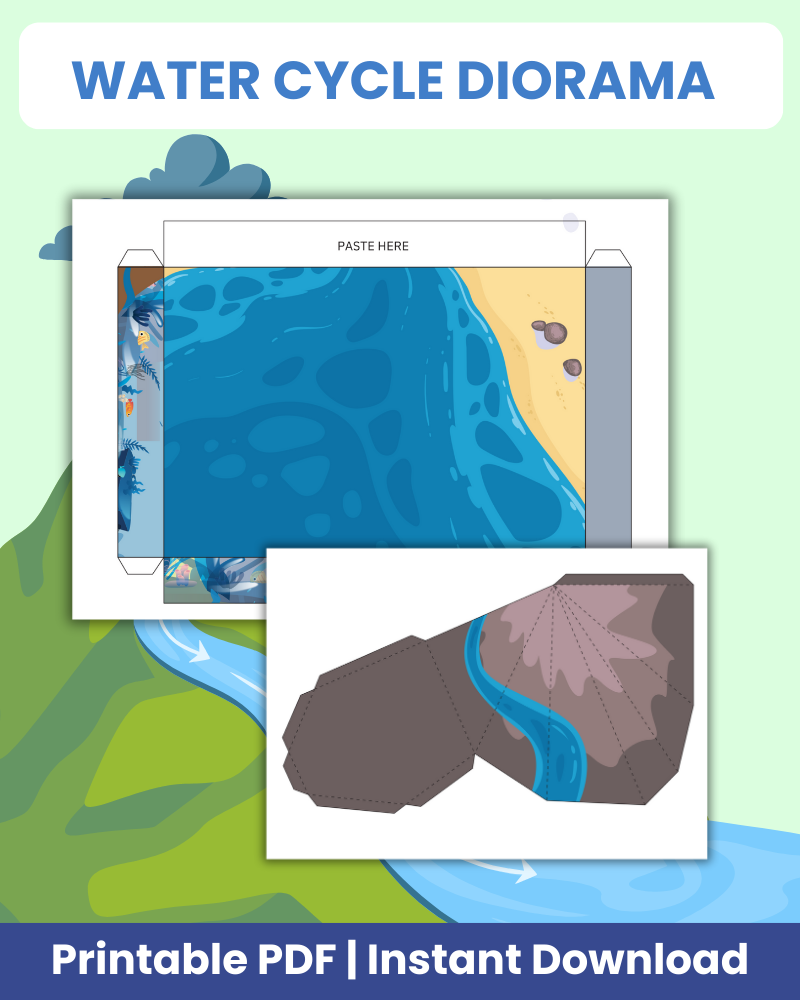 water cycle diorama printable