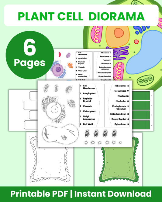 Plant Cell Diorama 3D Diorama Printable (6 Pages Total)