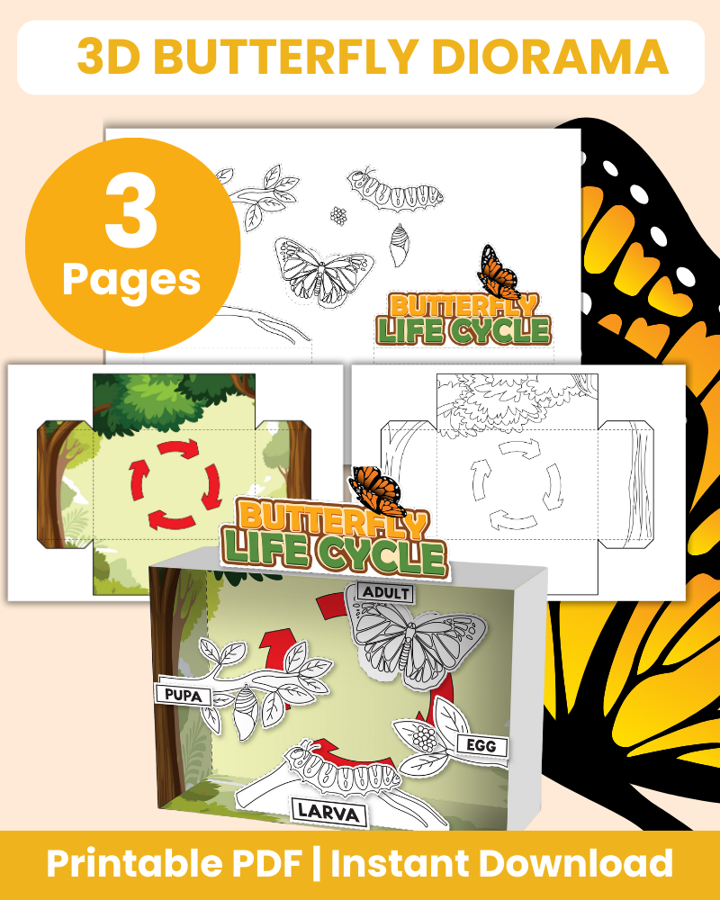 3D butterfly diorama