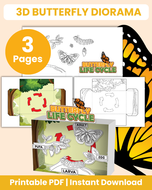 3D butterfly diorama