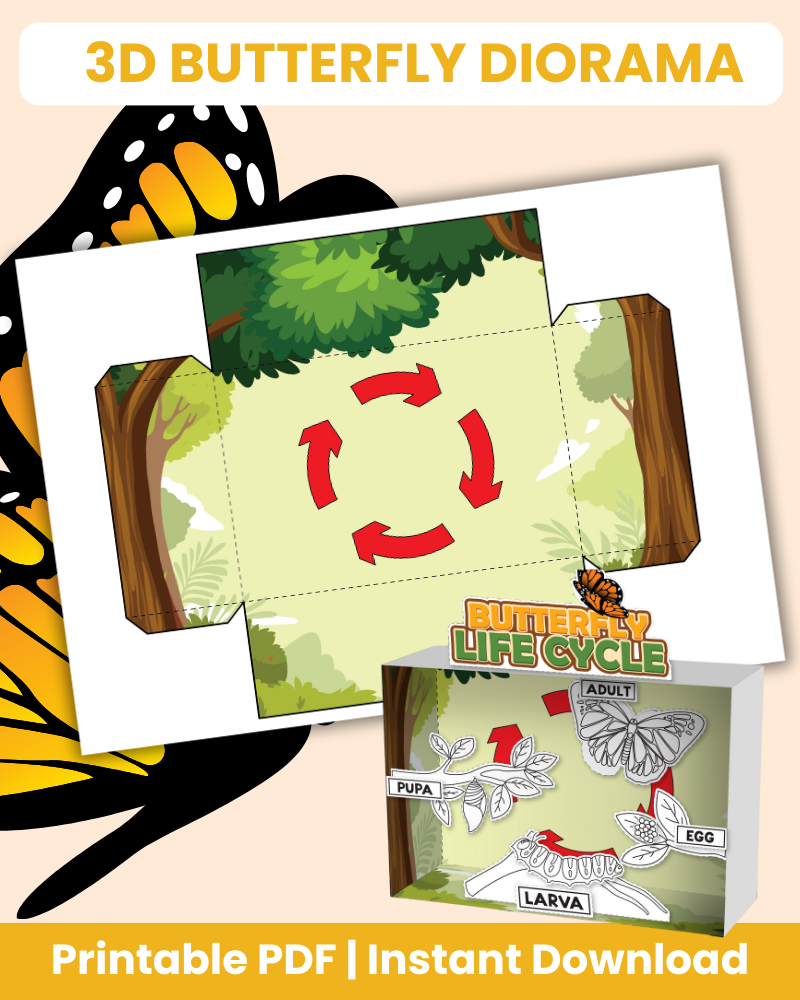 3D butterfly diorama