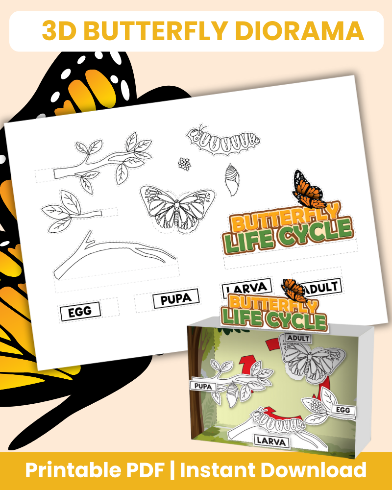 3D butterfly diorama