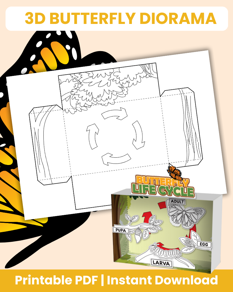 3D butterfly diorama