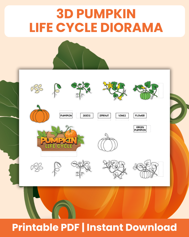 3d pumpkin life cycle diorama printable