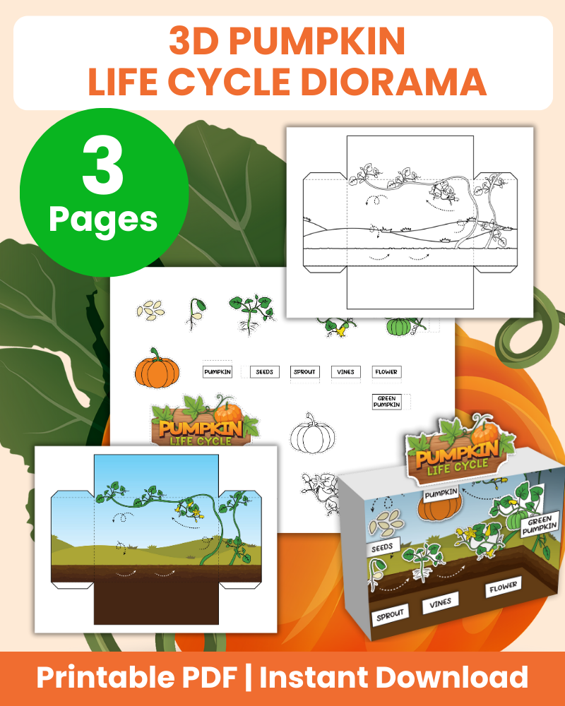3d pumpkin life cycle diorama printable
