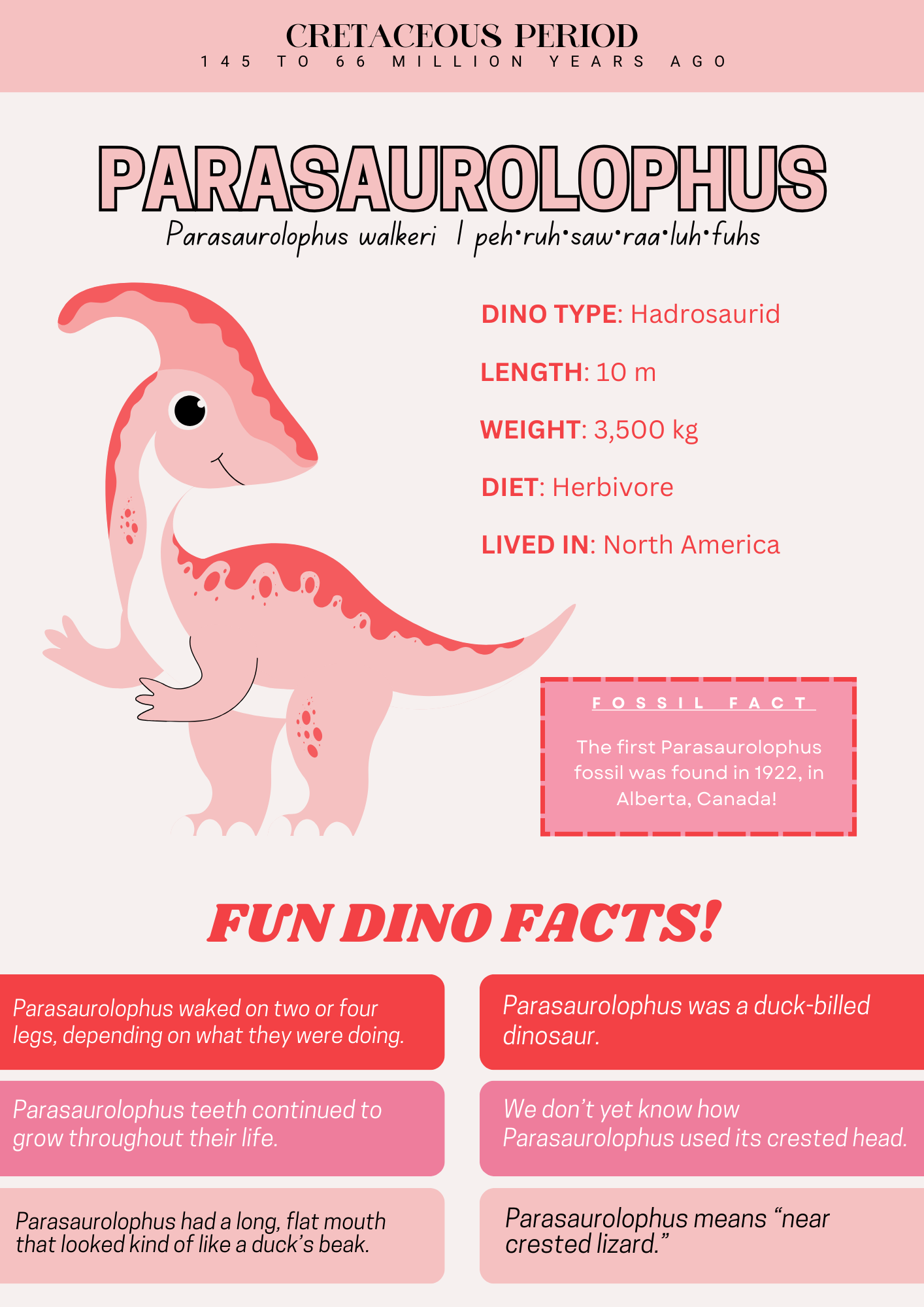 Let's Study Dinosaurs Printable Book