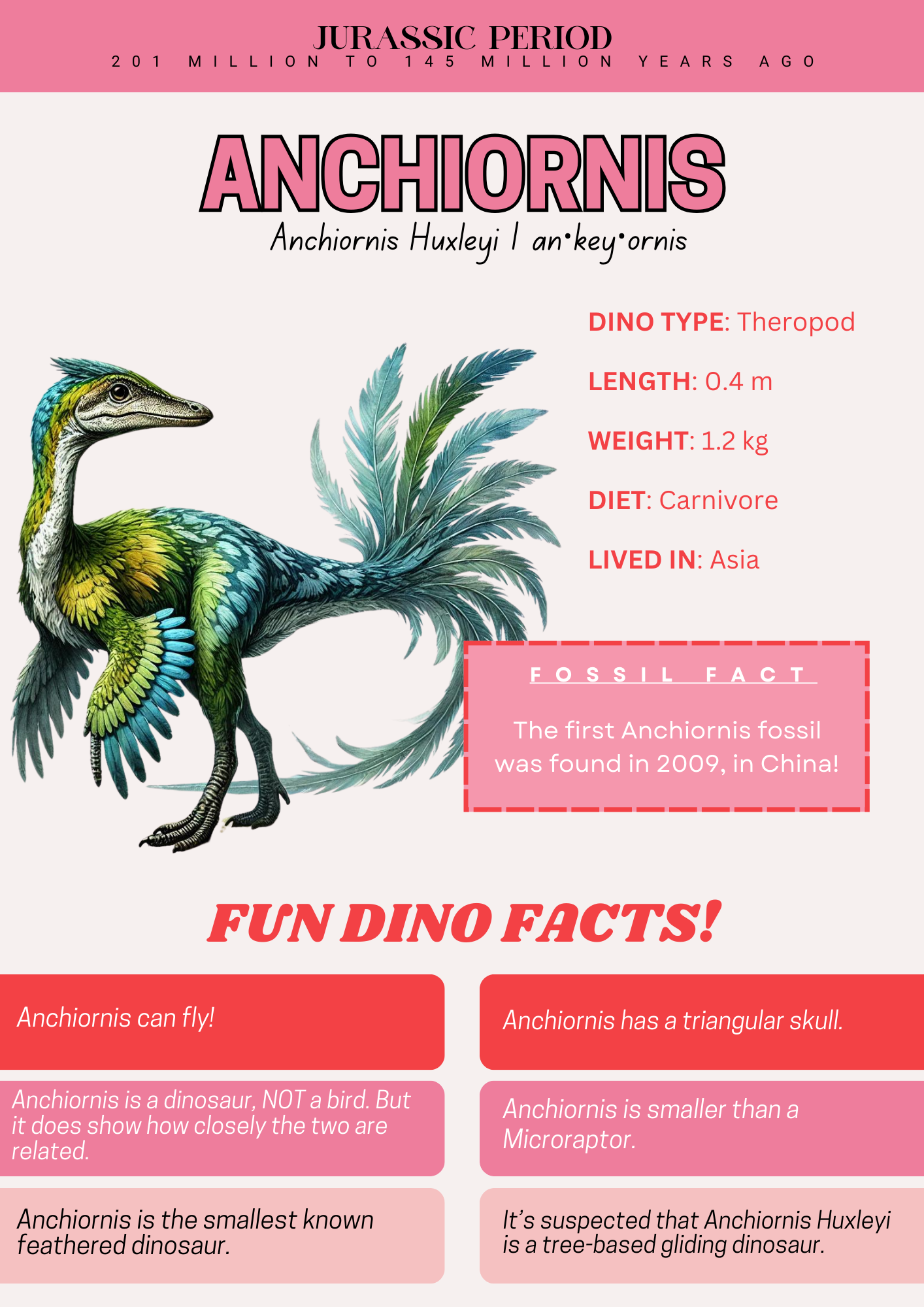 Let's Study Dinosaurs Printable Book